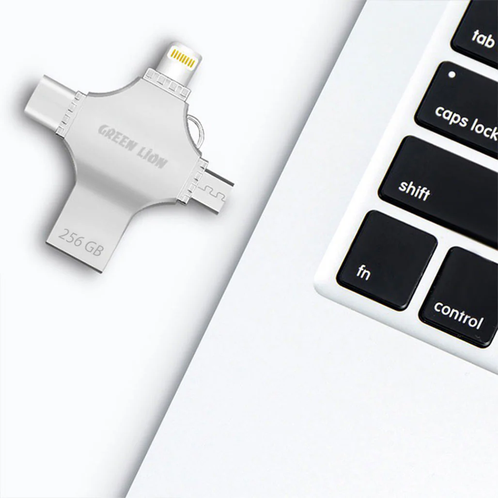 Green Lion 4-in-1 USB Flash Drive 256GB - Silver | GN4IN1USB256SL - Image 3