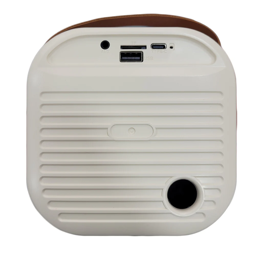 Green Lion Duet Echo Karaoke Speaker - Bluetooth 5.3, 10W Output | GNDUECH10WBG - Image 4