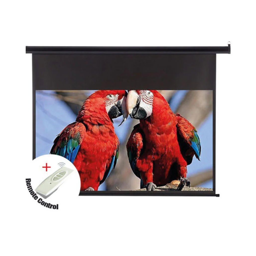 SkyPro Electric Projector Screen with RF Remote Control